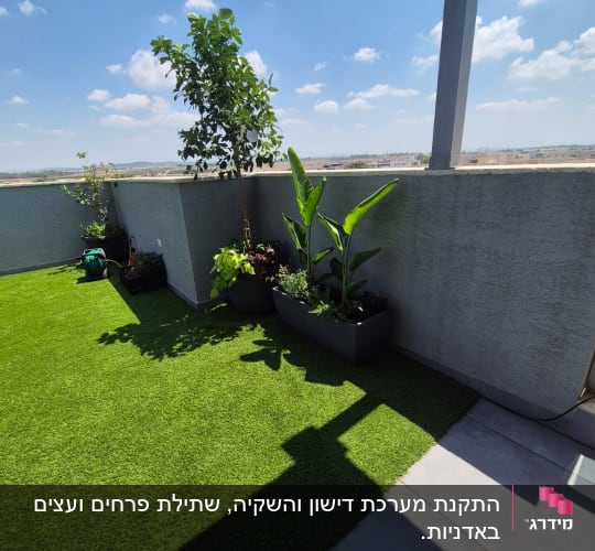 עצים וצמחים על מרפסת עם דשא סינתטי